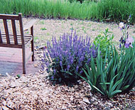 Sitting Area w/ Flowers