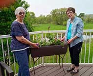 Deck garden planting